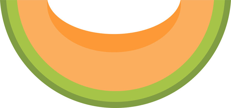 Cantaloupe melon slice vector illustration flat design fruit graphic for food and healthy eating concepts minimalist orange and green melon icon