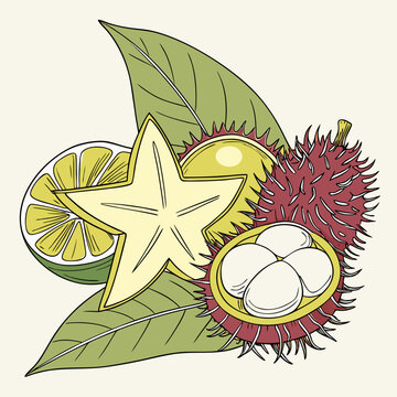 Exotic tropical fruit composition featuring starfruit rambutan and lime slices, tropical