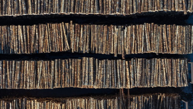 Aerial view of stacked logs in a timber yard in Nelson, Nelson Region, New Zealand.