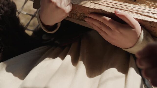 Close-up shows hands offering and transferring tiny shell or seed between palms beside open book, with warm sunlight, soft shadows, careful touch, and quiet focused reading mood, with hand, palm