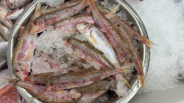 barbun, redmullet, fish, ice, seafood, fresh, bowl, closeup, food, gourmet, organic, raw, healthy, market, delicacy
