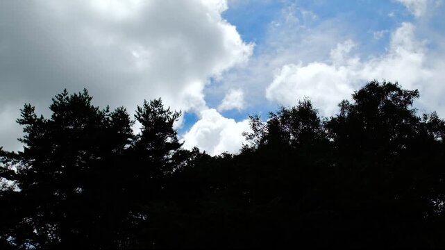 木々のシルエットと雲が広がる青空