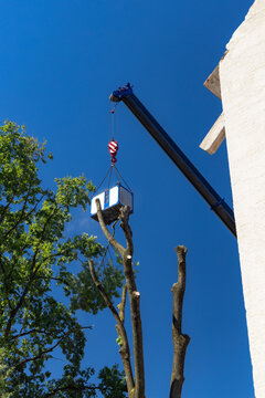 Holzf&auml;llarbeiten wegen Eschensterben