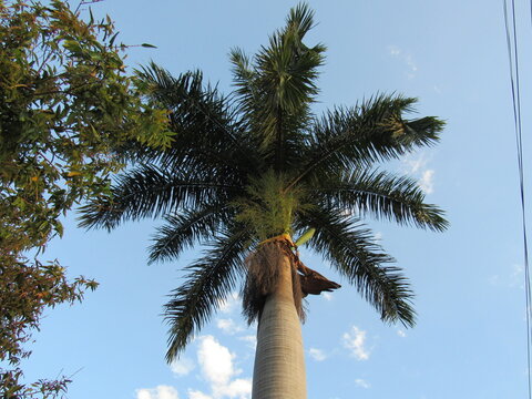 Olhando para o c&eacute;u.