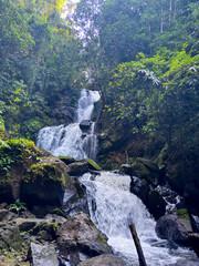 A serene waterfall cascades down mossy rocks in a lush green forest with sunlight filtering through the trees. © Catra Lingkua