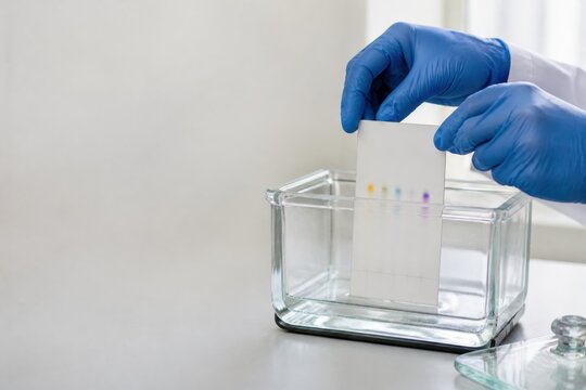 Scientist lifting TLC plate from chromatography chamber