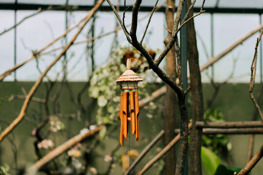 Bamboo wind chime hanging from a tree branch inside a quiet greenhouse during the daytime