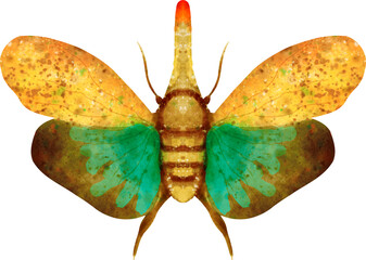 Naklejka premium Red Nose Lanternfly Watercolor Clip Art