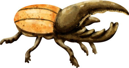 Fototapeta premium Cute Hercules Beetle Watercolor Clip Art
