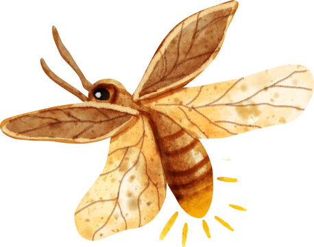 Cute Firefly Watercolor Clip Art