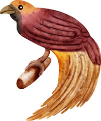 Bird of Paradise Watercolor Clip Art