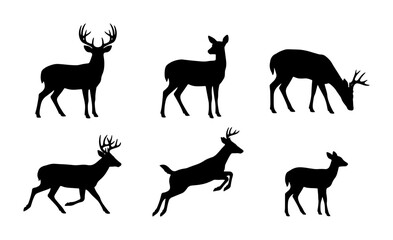 Fototapeta premium Deer Silhouettes Collection, Wildlife Animal Vector Icons, Forest Fauna Graphic Elements