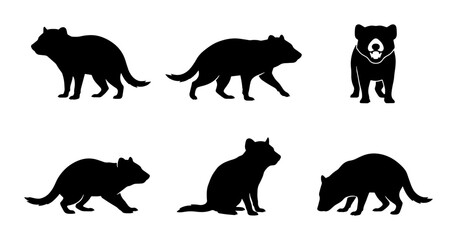 Fototapeta premium Tasmanian Devil Silhouettes, Wildlife Icons, Black Animal Vector Set