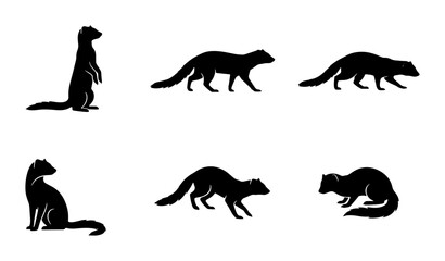 Fototapeta premium Ferret Silhouettes, Vector Icons, Animal Poses, Wildlife Graphics, Mammal Set