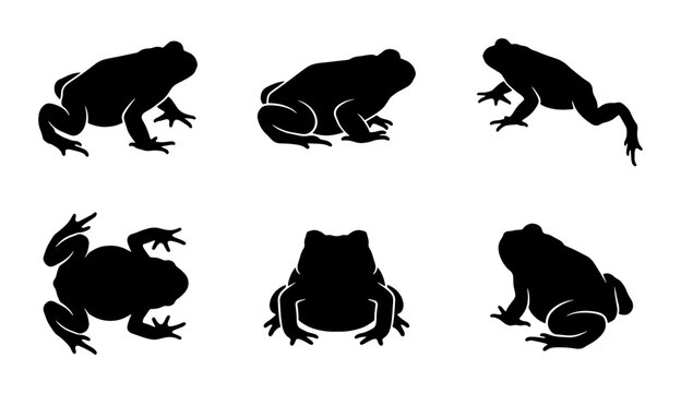 Frog Silhouettes Collection, Amphibian Vector Icons, Wildlife Animal Set, Nature Graphic Elements