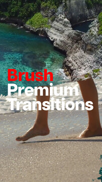 Premium Transitions Brush 14 Variations VERTICAL &ndash; Creative Brush Stroke Transitions, Paint Wipes and Artistic Hand Drawn Reveal Effects for Professional Video Editing and Motion Graphics