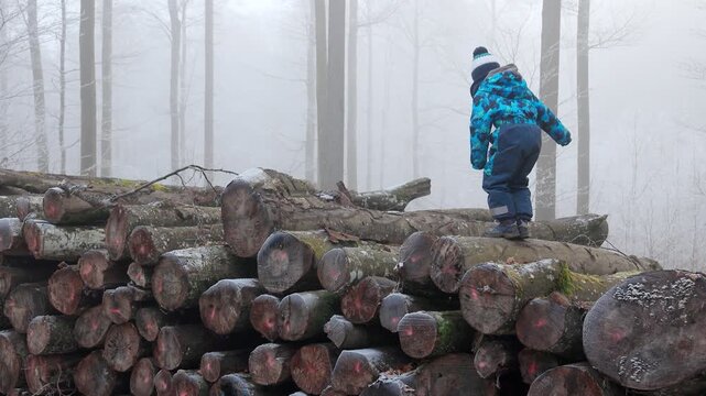 Little boy climbing on stacked logs in foggy forest