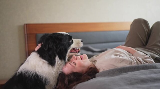 Smiling woman playing with cute puppy dog border collie on bed at home indoor. Owner girl stroking holding dog friend sitting on sofa in living room. Love for pets friendship support team concept