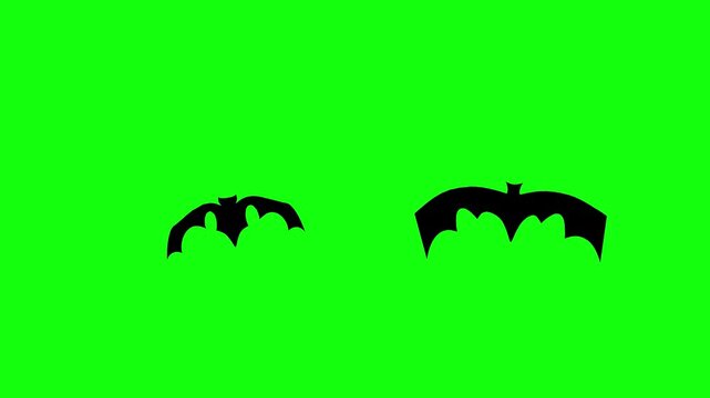Flying Bat on Green Screen Chroma Key Halloween Animation 4K