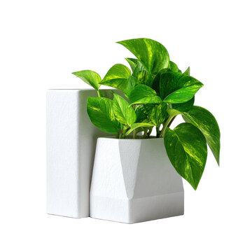 modern white geometric bookends with a potted plant, cutout isolated illustration cutout cutout isolated illustration on transparent background