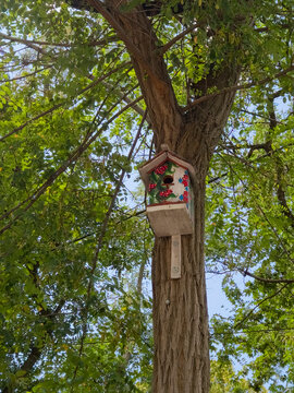 Birdhouse Tree Wooden Nature Garden Wildlife Outdoor Nesting Green Foliage Backyard Handmade Summer Bird House