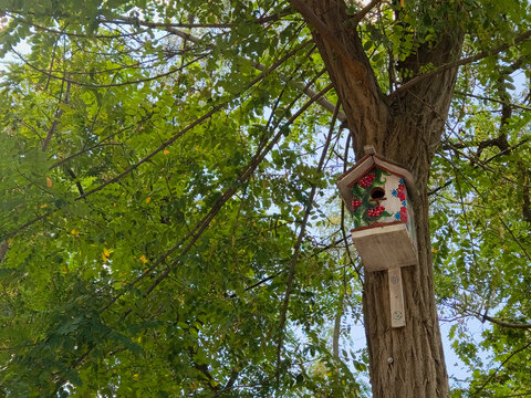 Birdhouse Tree Wooden Nature Garden Wildlife Outdoor Nesting Green Foliage Backyard Handmade Summer Bird House