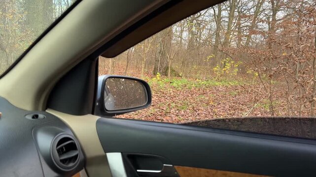 Passenger side car interior with side mirror and partially raised tinted window facing autumn woodland under overcast daylight, showing dashboard vent, door panel, armrest, and quiet roadside view
