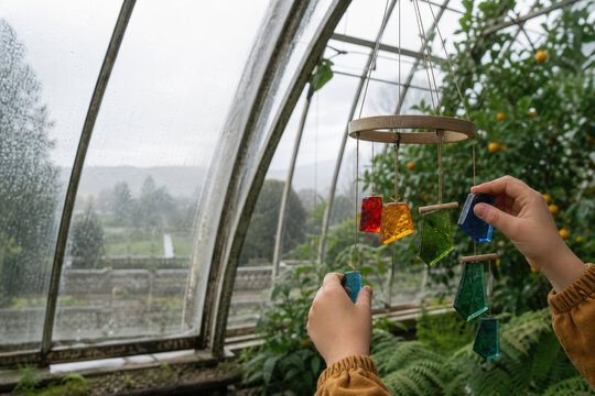 Child Hands Hanging Rainbow Suncatcher in Bright Botanical Glasshouse