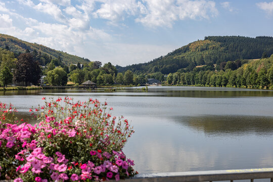 Flowers blooming in front of a calm lake surrounded by forested hills at Lac des Doyards - Belgium