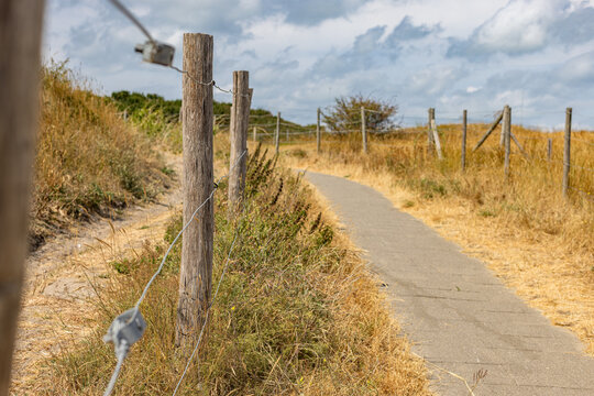 Paved walkway winding through coastal sand dunes lined with wooden posts and wire fencing in Westende - Belgium