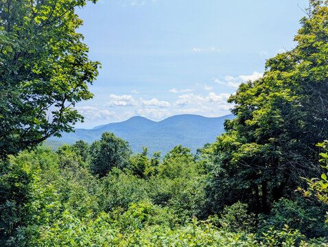 Windham High Peak trail in the Catskills Mountains, New York - August 2026