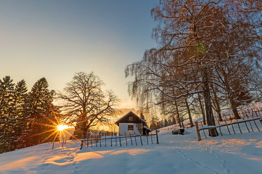 Alpe - Allg&auml;u - Winter - Sonnenuntergang - B&auml;ume - Schnee