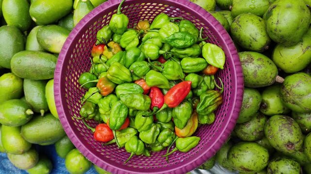 Fresh Green and Red Chili Peppers Collected in a Basket for Spicy Food and Agricultural Produce