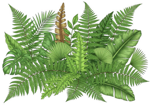 Tropical fern and palm leaves arrangement