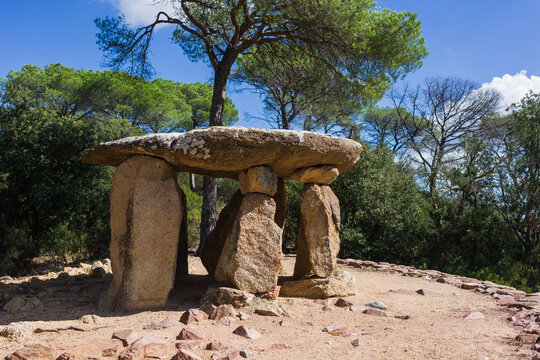 Ancient dolmen structure in a sunlit pine forest