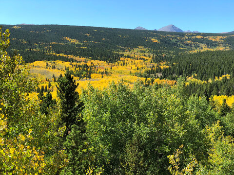 view from the Peak to Peak Scenic Byway near Nederland, Colorado 