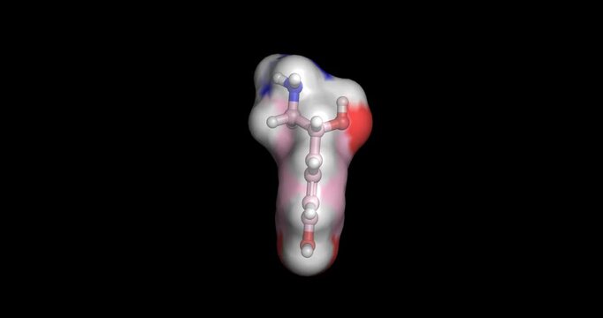 Norepinephrine, noradrenaline catecholamine hormone and neurotransmitter mediating sympathetic nervous system arousal and vasoconstriction, 3D molecule spinning, 4K