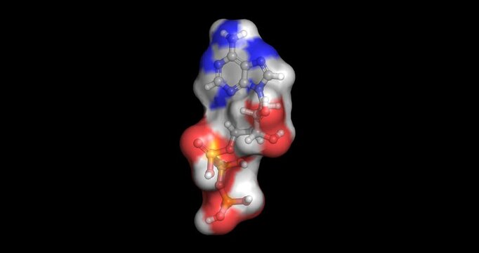 ATP, adenosine triphosphate primary cellular energy currency and signaling molecule for metabolic processes, 3D molecule spinning, 4K