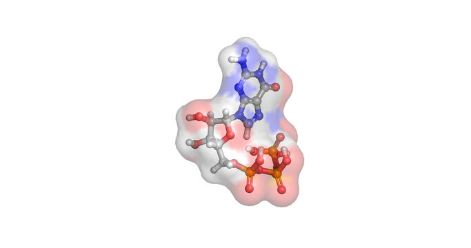 GTP, guanosine triphosphate essential nucleotide for cellular energy transfer, signal transduction, and protein synthesis, 3D molecule 4K