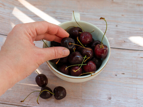 Human hand reaches for a ripe dark sweet cherry, Prunus avium, from a ceramic cup filled with freshly washed fruit. Natural sunlight and wooden background create a commercial lifestyle image for healt