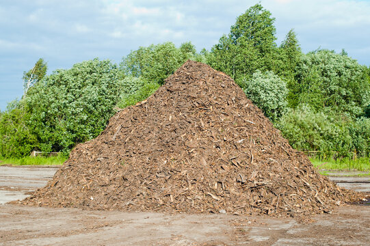 The photo shows wood chips against a backdrop of blue sky and green trees