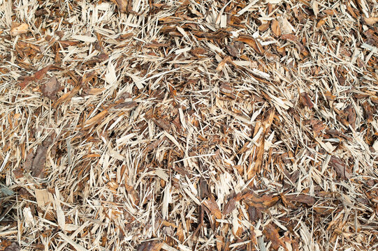The photo shows a close-up of wood chips