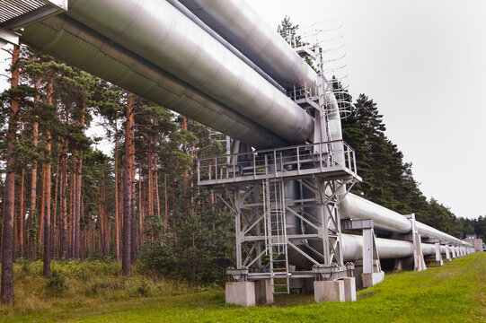The photo shows a pipeline against the backdrop of a gray sky and forest