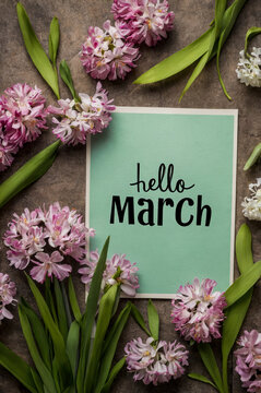 Poster card spring text lettering Hello March on romantic bloom blossom tree flowers AI Generative