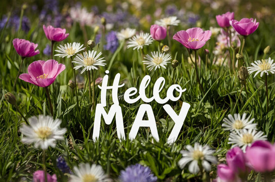 Poster card spring text lettering Hello May on romantic bloom blossom tree flowers AI Generative