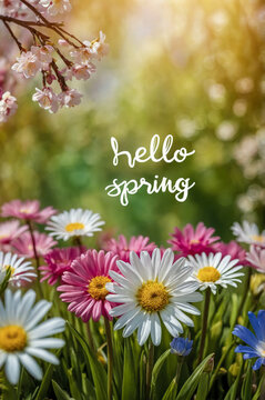 Poster card spring text lettering Hello Spring on romantic bloom blossom tree flowers AI Generative