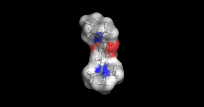 Rivastigmine, dual acetylcholinesterase and butyrylcholinesterase inhibitor for Alzheimer's and Parkinson's dementia, 3D molecule spinning, 4K