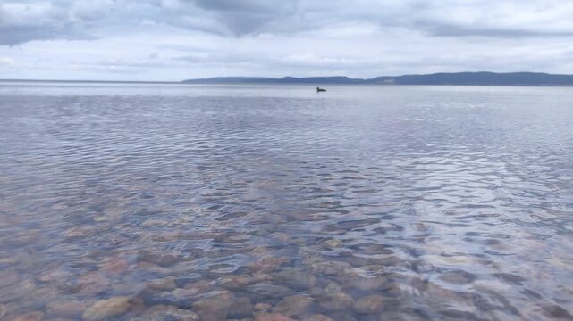 lake vattern clear water with cobble stone scenic view in jonkoping video