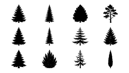 Fototapeta premium Collection of black silhouette evergreen trees and conifers on white background