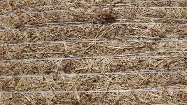 Hay stack packed and close up video.